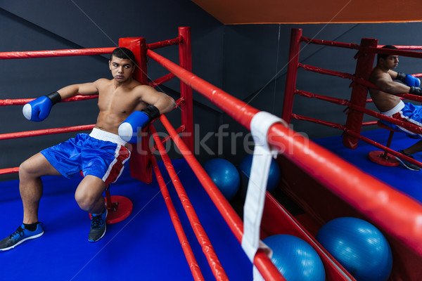 Boxer resting in boxing ring Stock photo © deandrobot