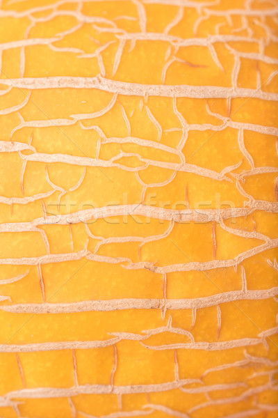 Close up shot of melon's skin Stock photo © deandrobot