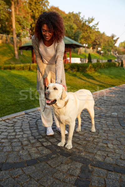 Foto stock: Tiro · bastante · saudável · jovem · senhora · caminhada