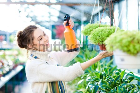 Happy beautiful young woman gardener holding small mandarine tree Stock photo © deandrobot