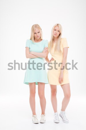 Two beautiful young women posing near each other Stock photo © deandrobot