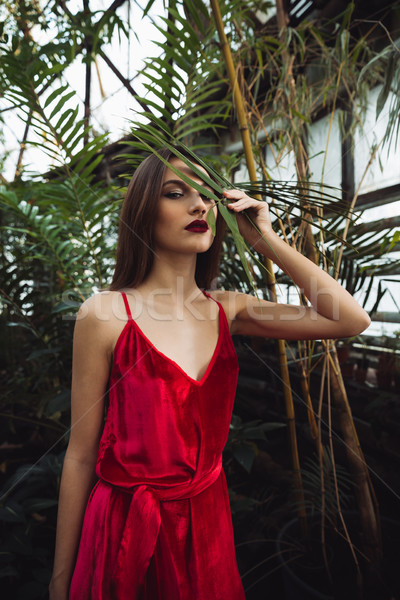 Vertical image of pretty brunette woman in greenhouse Stock photo © deandrobot