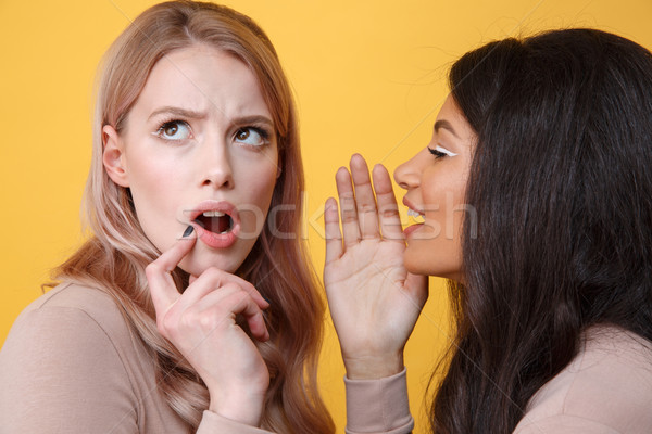 Concentrated young two ladies talking over yellow background Stock photo © deandrobot