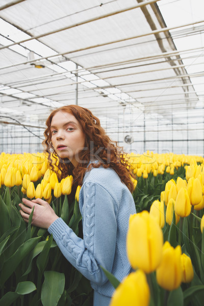 Lady looking away near flowers Stock photo © deandrobot