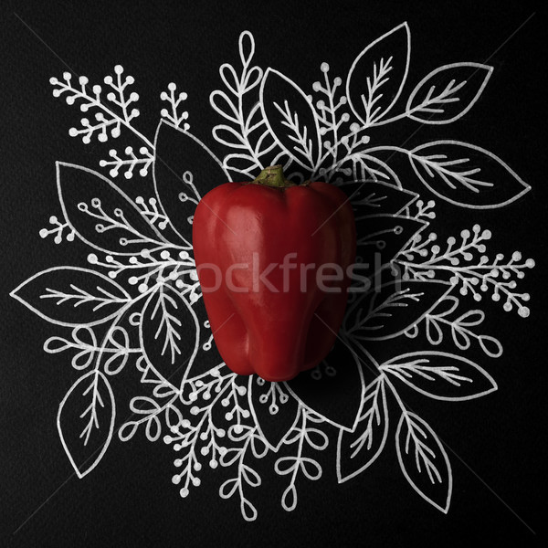 Red bell pepper over outline floral hand drawn Stock photo © deandrobot