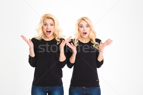 Kettő megrémült meglepődött szőke nő szórakoztató nővérek Stock fotó © deandrobot