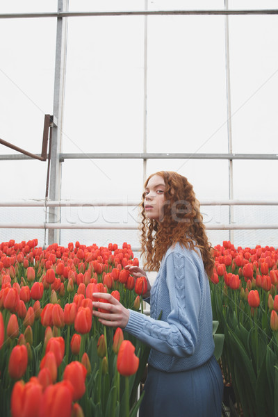 Girl looking up in orangery Stock photo © deandrobot