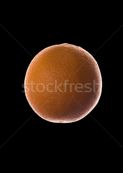 Fresh orange fruit isolated over black Stock photo © deandrobot
