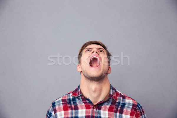 Mérges férfi kockás póló felfelé néz sikít Stock fotó © deandrobot