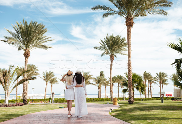 二 吸引力 年輕女性 步行 擁抱 夏天 商業照片 © deandrobot