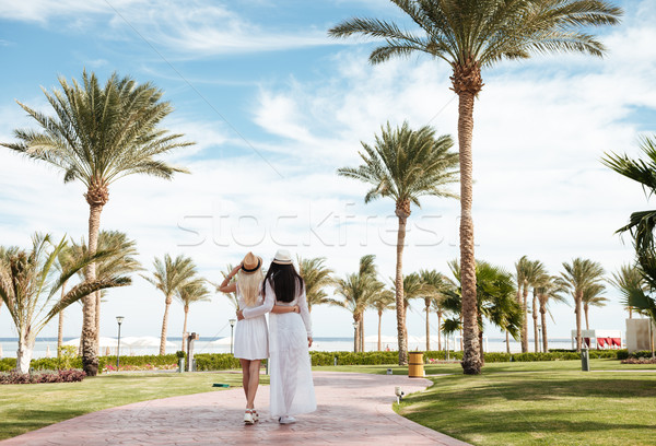 Foto stock: Dois · atraente · mulheres · jovens · caminhada · verão