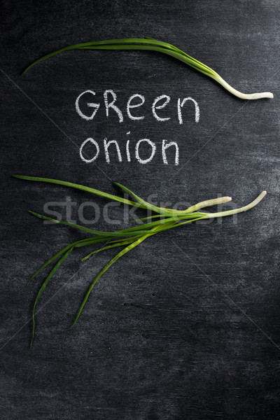 Green onion over dark chalkboard background. Stock photo © deandrobot