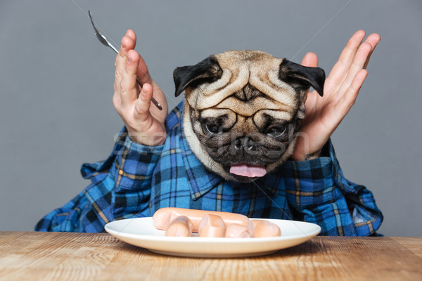 Happy excited pug dog with man hands eating sausages Stock photo © deandrobot