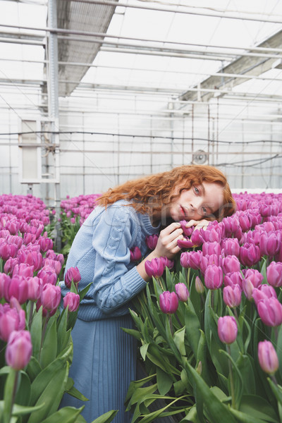 Girl lying on tulips Stock photo © deandrobot
