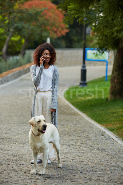 Tineri ocupat frumos doamnă mers câine Imagine de stoc © deandrobot