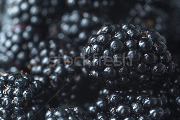 Mulberry. Focus selected. Macro. Stock photo © deandrobot
