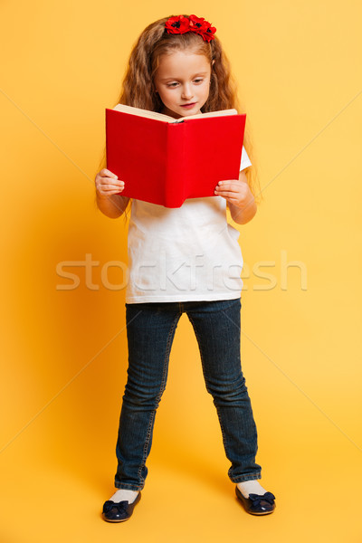 Foto d'archivio: Concentrato · piccolo · bella · ragazza · lettura · libro