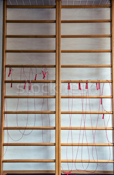 Jumping ropes on wall bars Stock photo © deandrobot