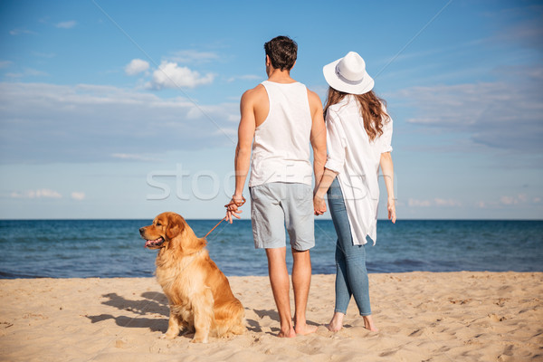 Vista posterior Pareja caminando perro playa feliz Foto stock © deandrobot