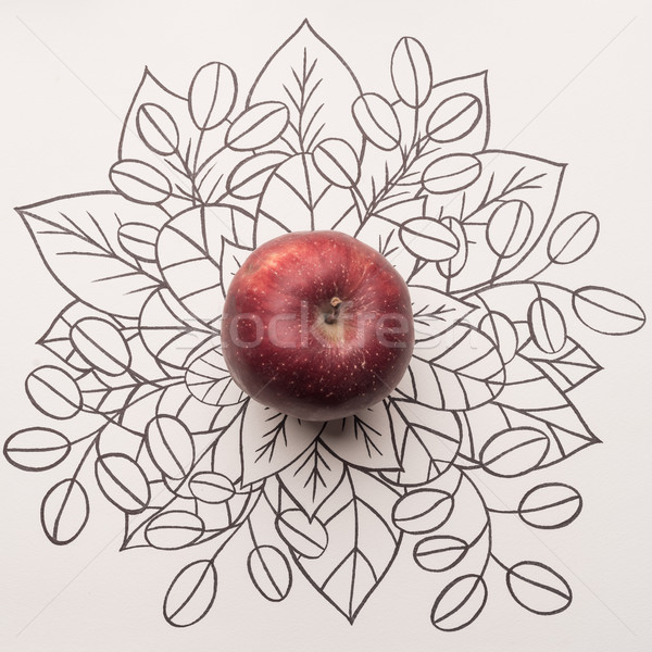 Red apple over outline floral background Stock photo © deandrobot