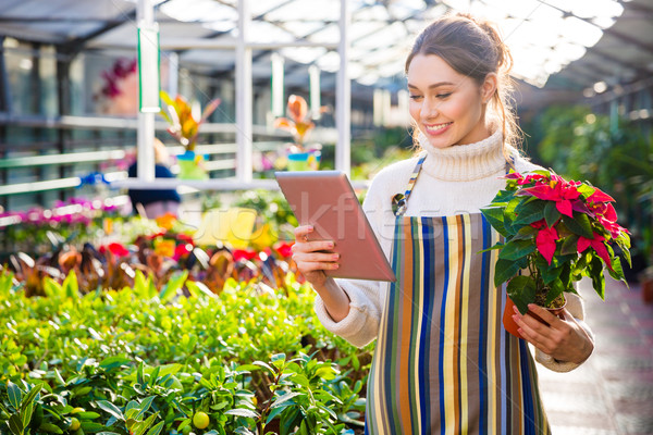 Stockfoto: Mooie · vrouw · tuinman · tablet · plant · pot