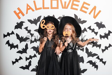 Nők halloween jelmezek buli kép kettő Stock fotó © deandrobot