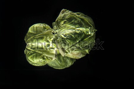 Heap of green fresh brussels sprouts in water Stock photo © deandrobot