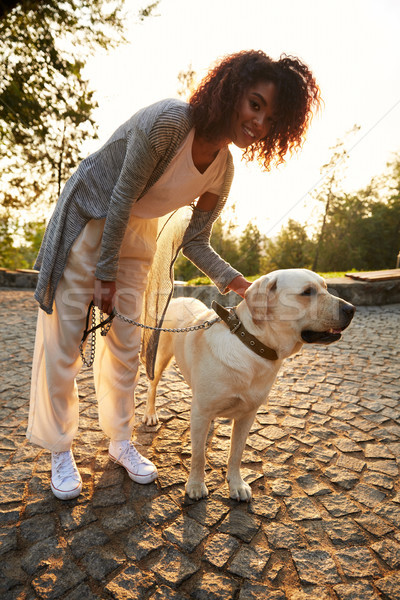 Feliz senhora branco amigável cão Foto stock © deandrobot