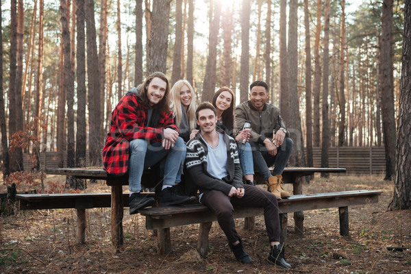 Fericit grup prietenii şedinţei în aer liber pădure Imagine de stoc © deandrobot