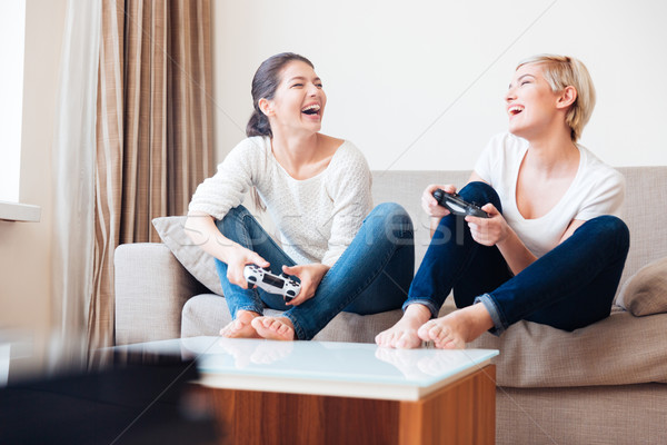 Vriendinnen spelen video games twee lachend bedieningshendel Stockfoto © deandrobot