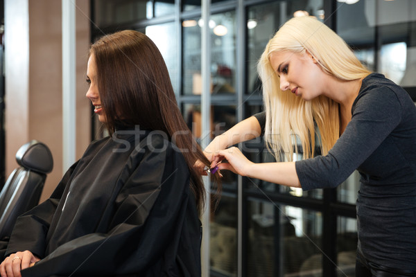 Kobieta kobiet fryzjer salon piękności szczęśliwy Zdjęcia stock © deandrobot