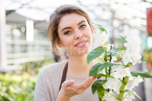 Pretty woman gardener with white blooming orchid in orangery Stock photo © deandrobot