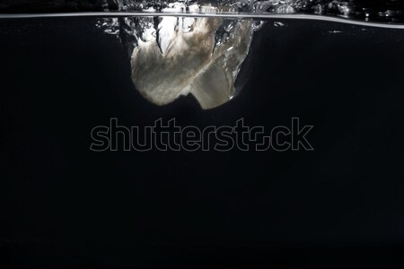 Taze beyaz mantar su yalıtılmış Stok fotoğraf © deandrobot