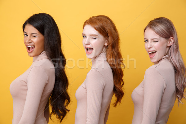 Side view image of young winking three ladies Stock photo © deandrobot