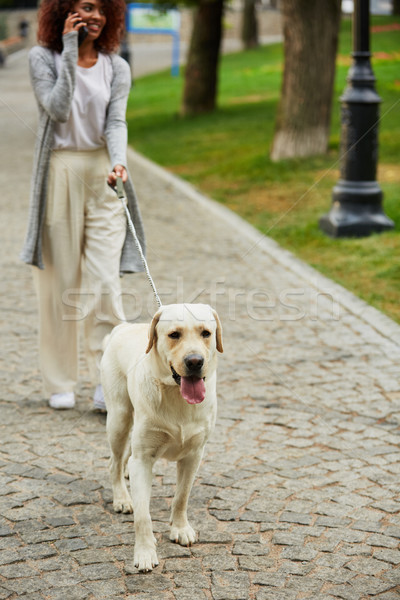 Fiatal elfoglalt gyönyörű hölgy sétál kutya Stock fotó © deandrobot