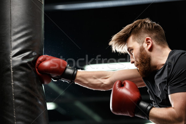 Jóképű fiatal erős sportok férfi boxoló Stock fotó © deandrobot