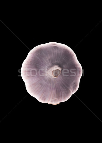 Fresh garlic isolated over black Stock photo © deandrobot