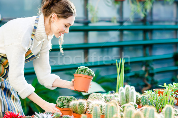 Happy cute young female gardener taking care of cactuses  Stock photo © deandrobot