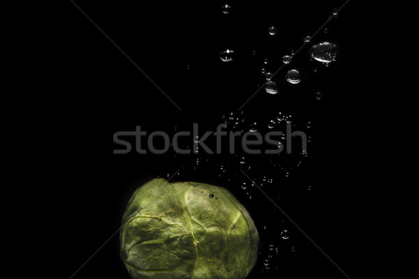Close up of a fresh brussels sprout with water drops Stock photo © deandrobot