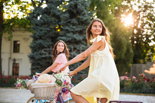 Twee mooie jonge vrouwen paardrijden retro fietsen Stockfoto © deandrobot