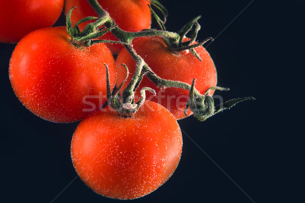 Close up portrait of a ripe red tomatoes Stock photo © deandrobot