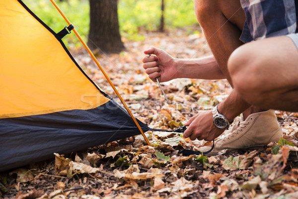 Man setting up a tent  Stock photo © deandrobot