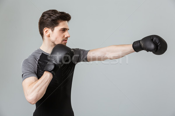 Concentrated young sportsman boxer make sport exercises wearing gloves. Stock photo © deandrobot