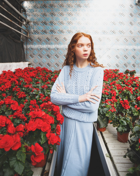 Standing in red blossom Stock photo © deandrobot