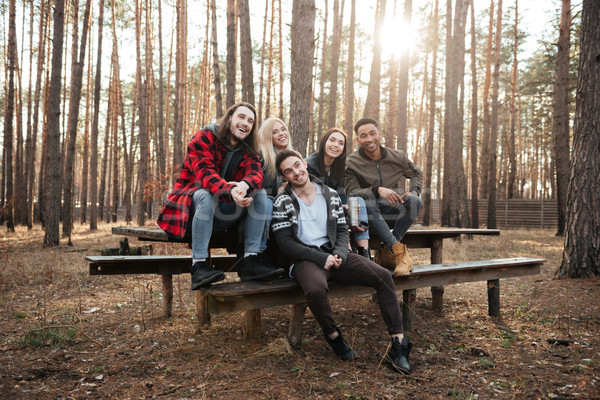 Happy group of friends sitting outdoors in the forest. Stock photo © deandrobot