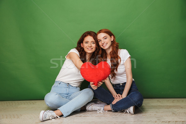 Fotografia dwa cute dziewcząt 20s Zdjęcia stock © deandrobot