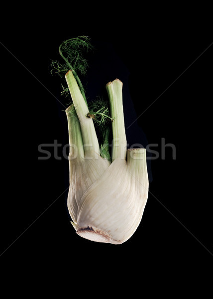 Fresh garlic isolated Stock photo © deandrobot