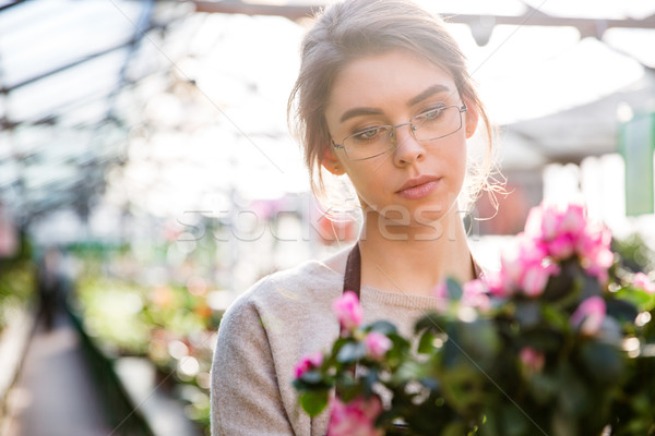 Beautiful concentrated woman florist working with flowers  Stock photo © deandrobot