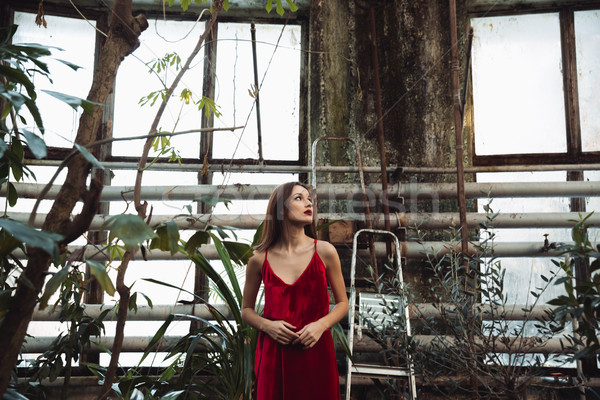 ストックフォト: 表示 · きれいな女性 · 温室 · 赤いドレス · ポーズ