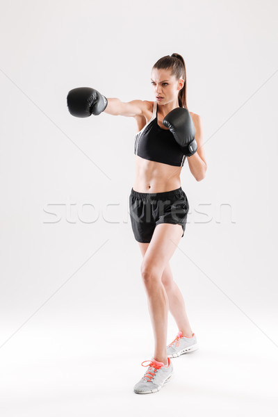 Foto stock: Retrato · jóvenes · motivado · mujer · boxeo